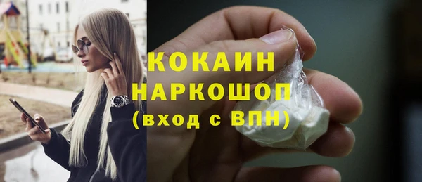 мдпв Михайлов
