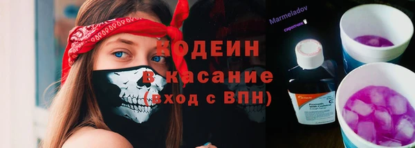 мдпв Михайлов