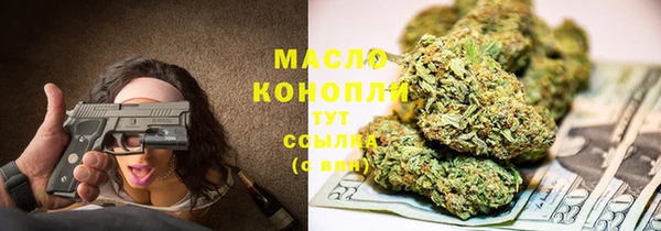 мдпв Михайлов