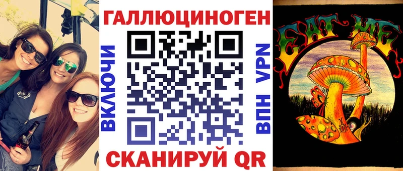 Купить  Михайлов  Псилоцибиновые грибы Psilocybine cubensis 